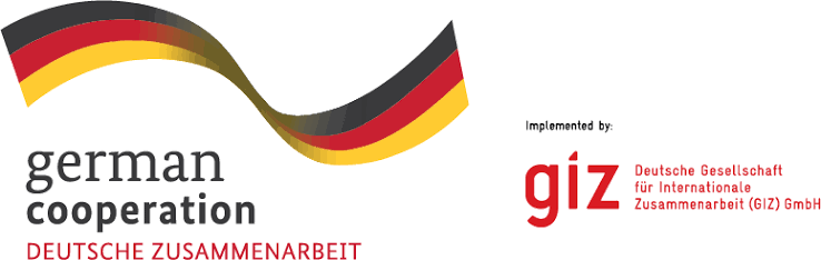  Deutsche Gesellschaft für Internationale Zusammenarbeit(GIZ)